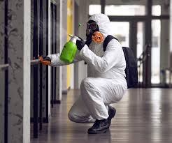 Best Environmental Consulting for Mold Prevention in Gateway, AK